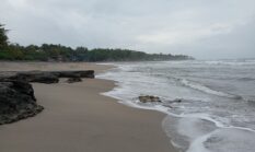 berita-pilihan-foto