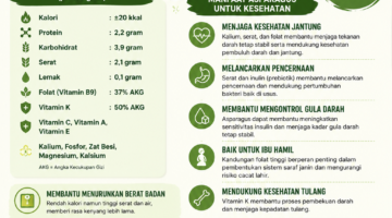 Asparagus, Sayuran Rendah Kalori Kaya Nutrisi yang Baik untuk Jantung dan Pencernaan